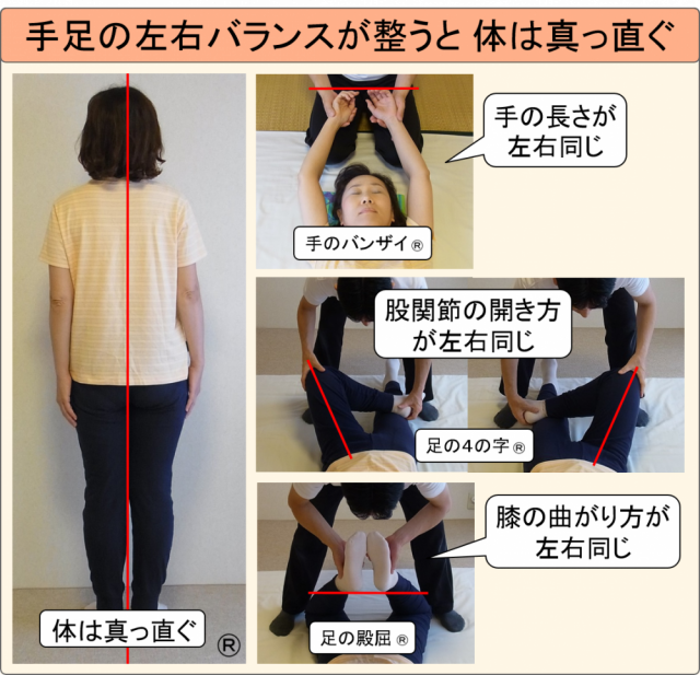 手足の動きが左右同じだと体は真っ直ぐ（ゆがみが無い）